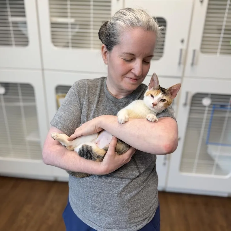 Confetti thumbnail 4