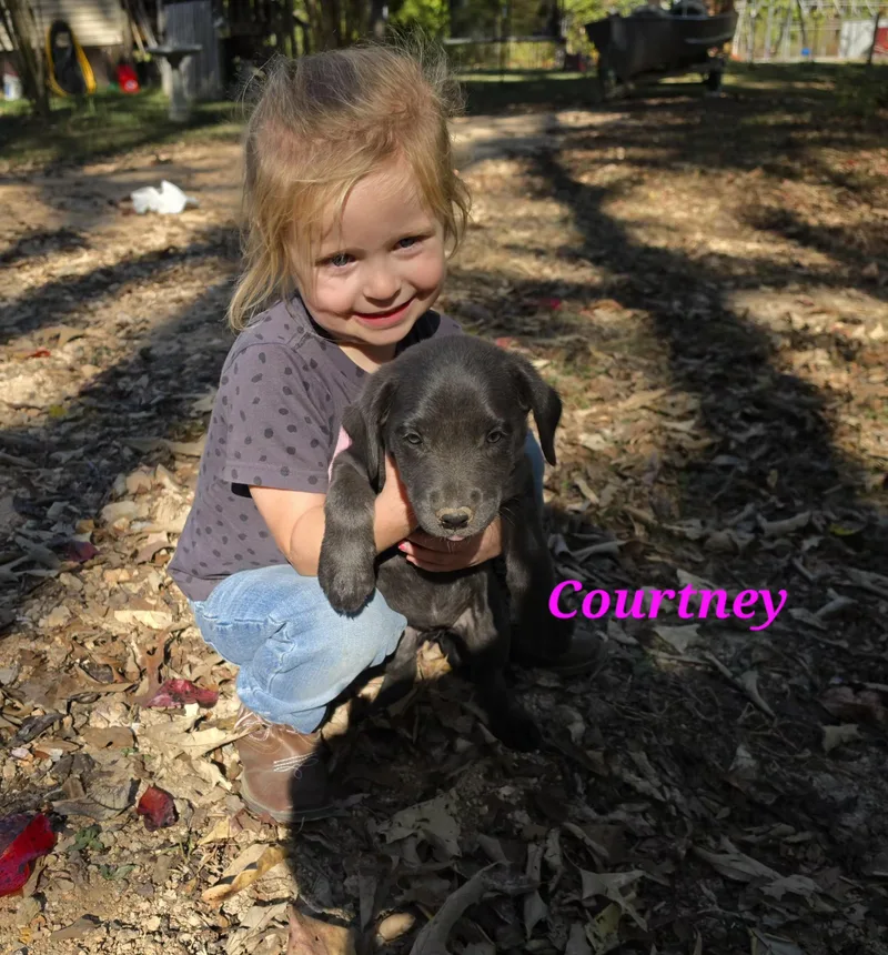 Courtney Cheer thumbnail 3