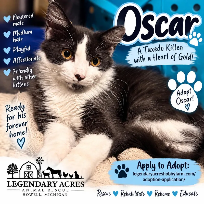 Oscar