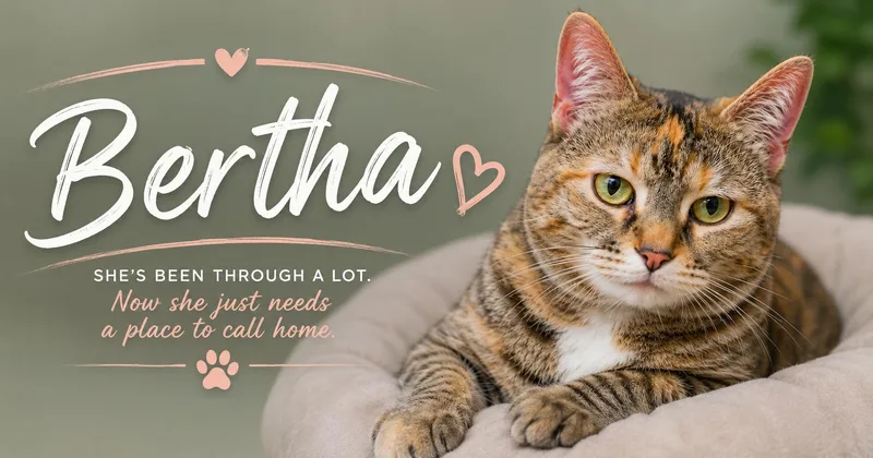 Big Beautiful Bertha thumbnail 2