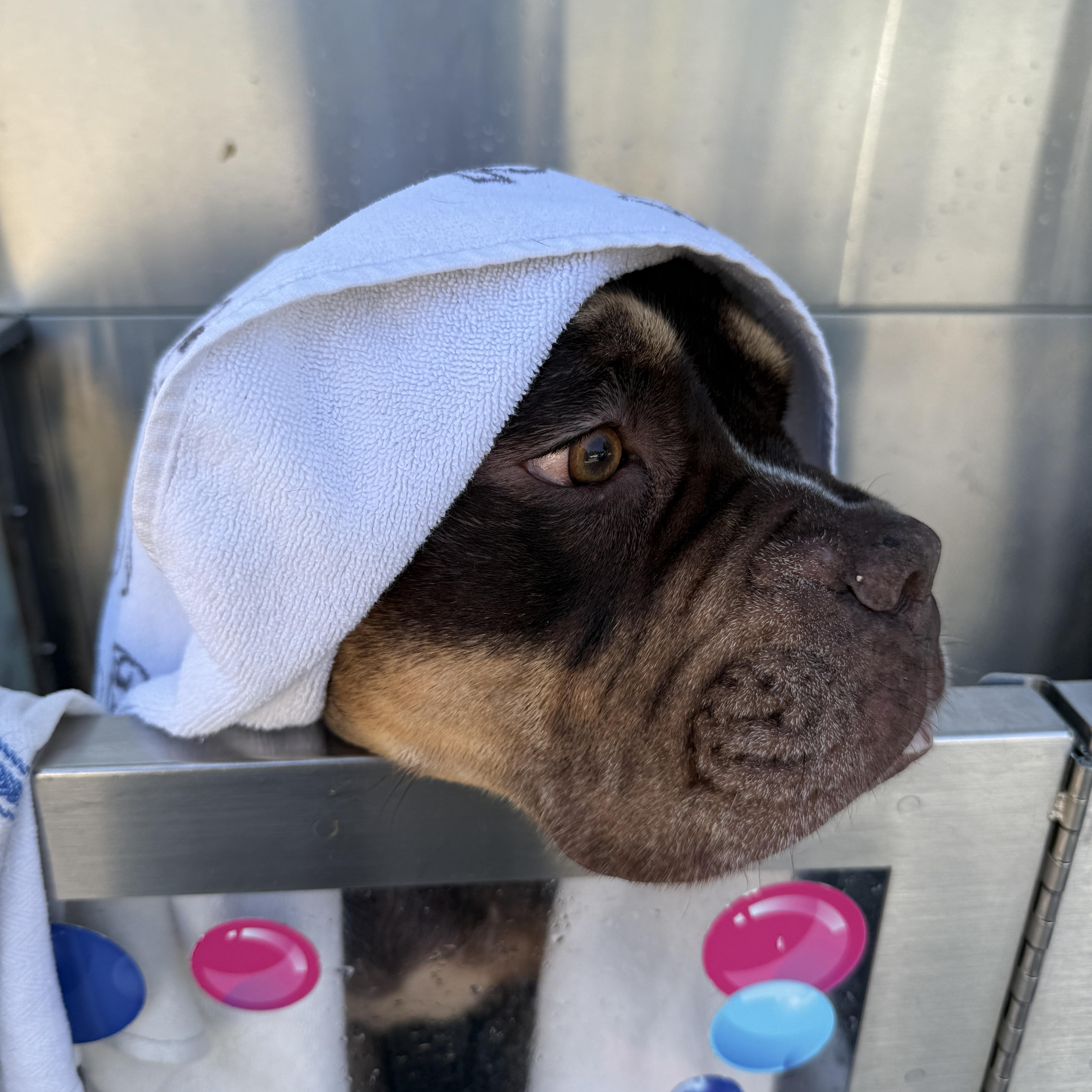 Squishmellow thumbnail 2