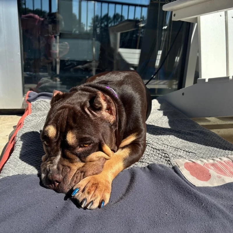 Squishmellow thumbnail 3