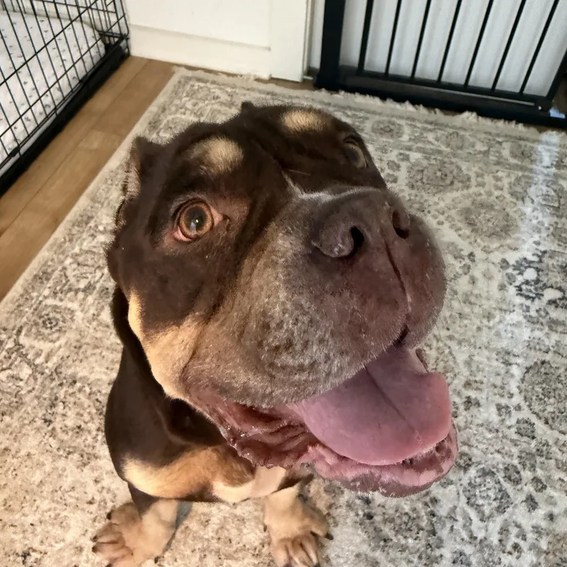 Squishmellow thumbnail 5