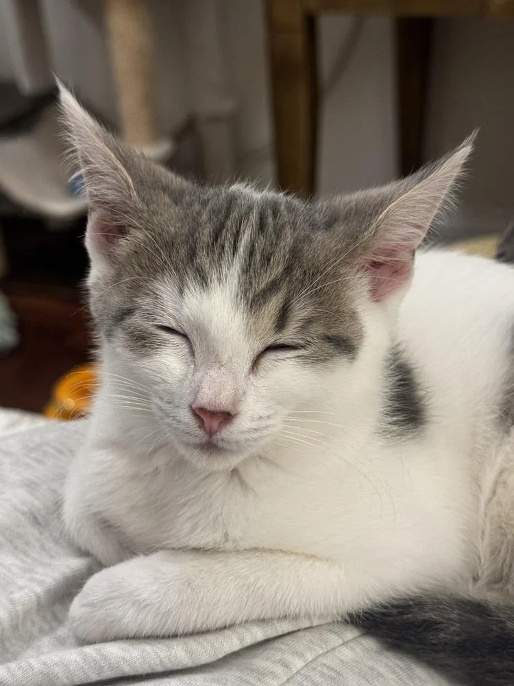 Grumpy thumbnail 5
