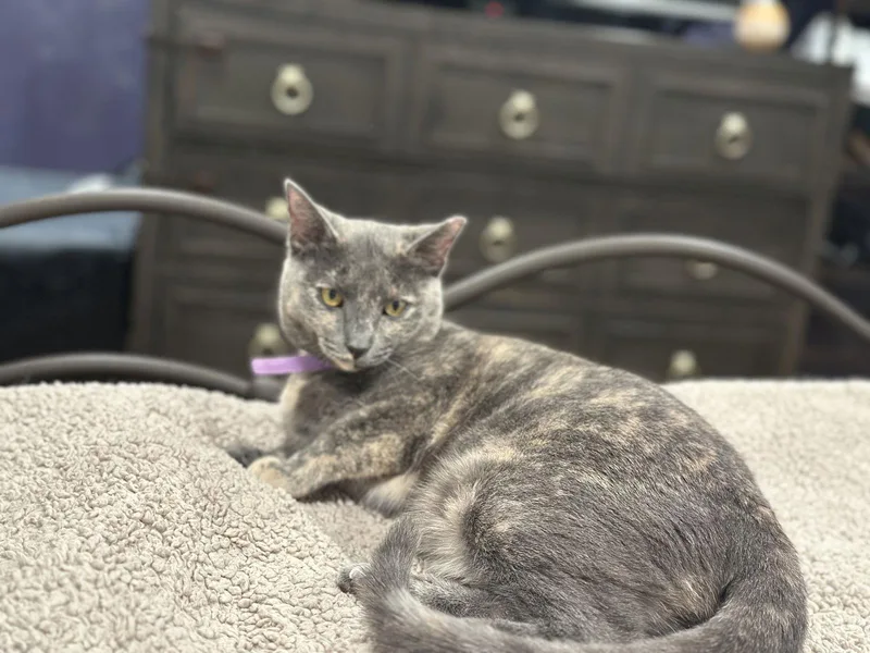 Alexa Grady thumbnail 2