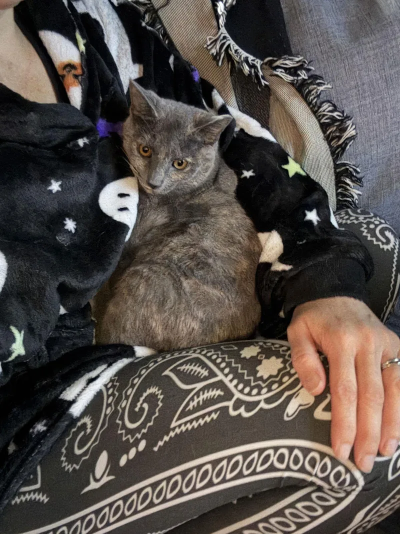 Alexa Grady thumbnail 3