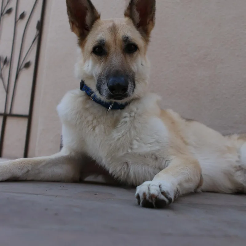Lola thumbnail 3