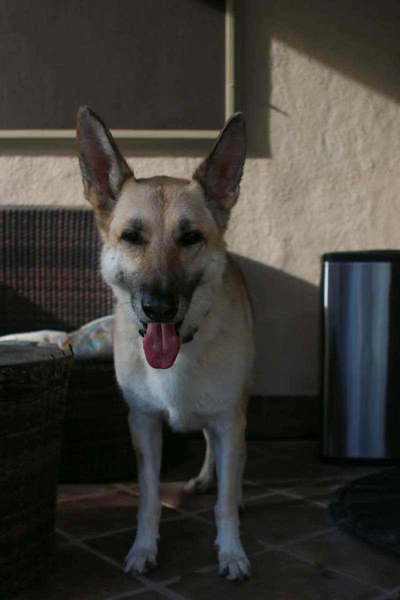 Lola thumbnail 4