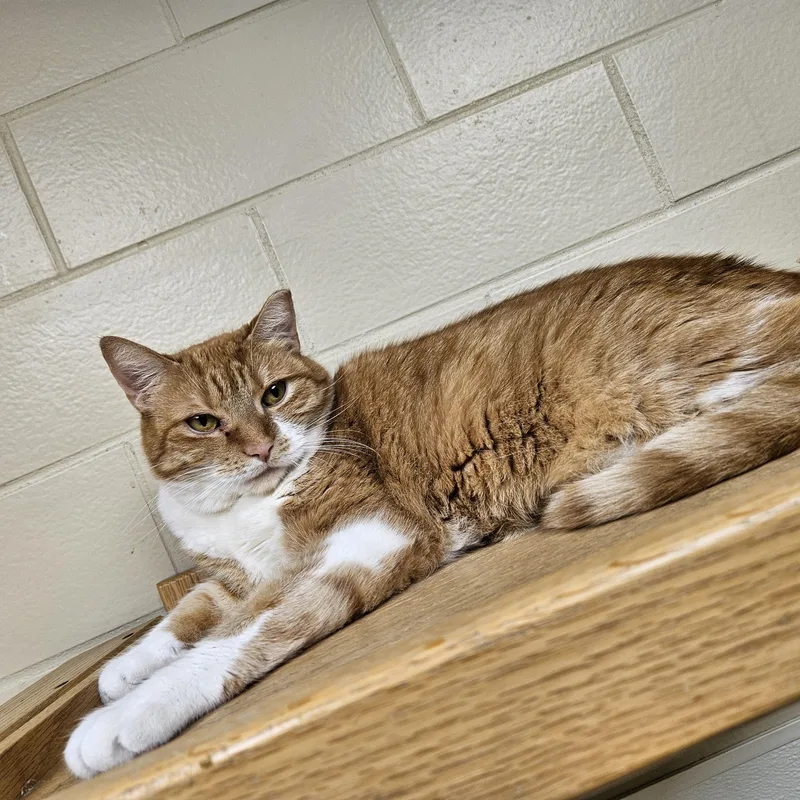 Sunshine thumbnail 2