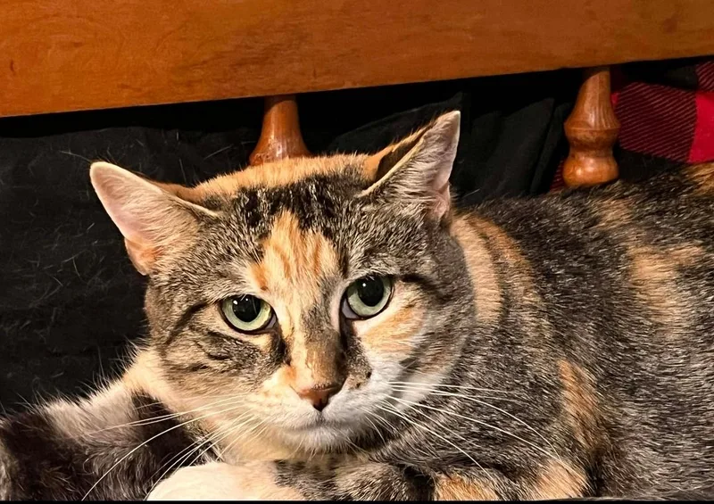 Ms. Kiki thumbnail 3