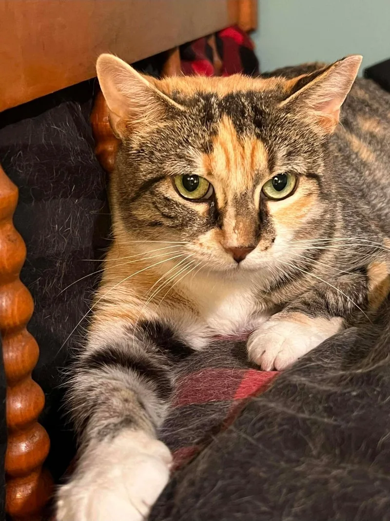 Ms. Kiki thumbnail 5