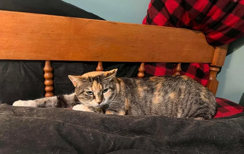 Ms. Kiki thumbnail 6