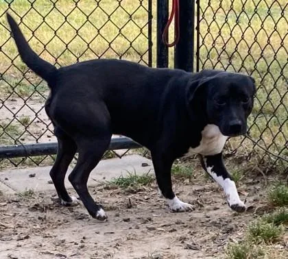 John Wayne thumbnail 2