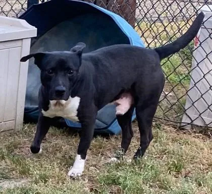 John Wayne thumbnail 3