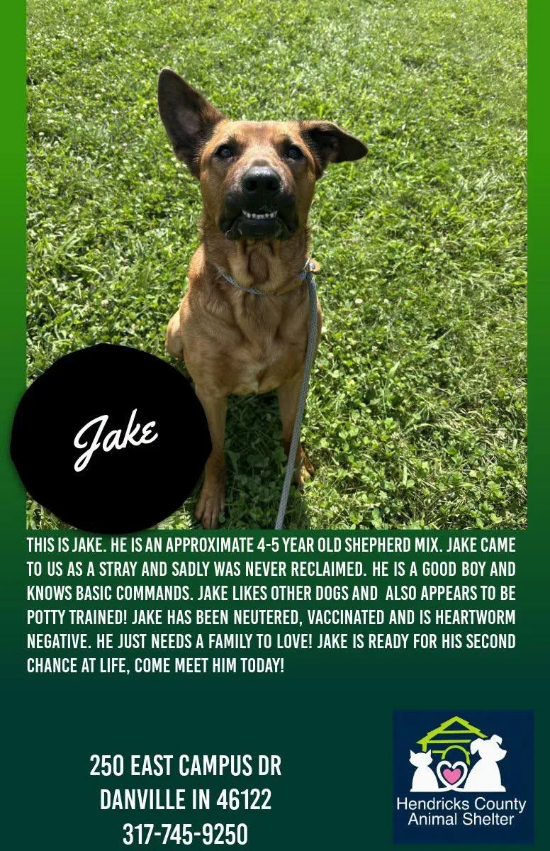 Jake