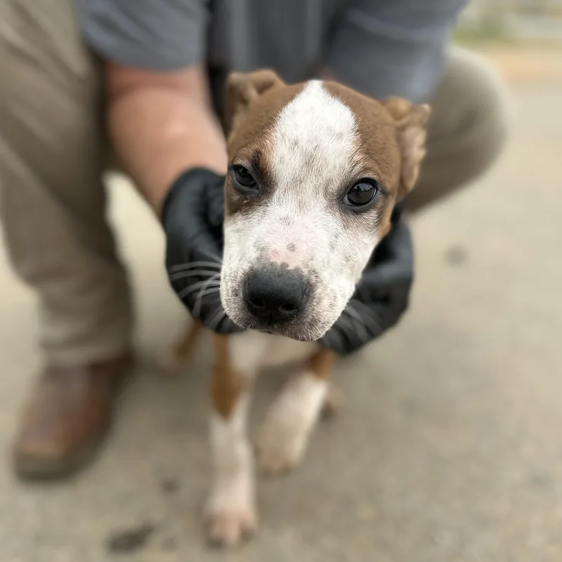 Mannequin Challenge thumbnail 2