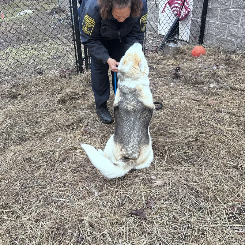 Leo & Luna thumbnail 3