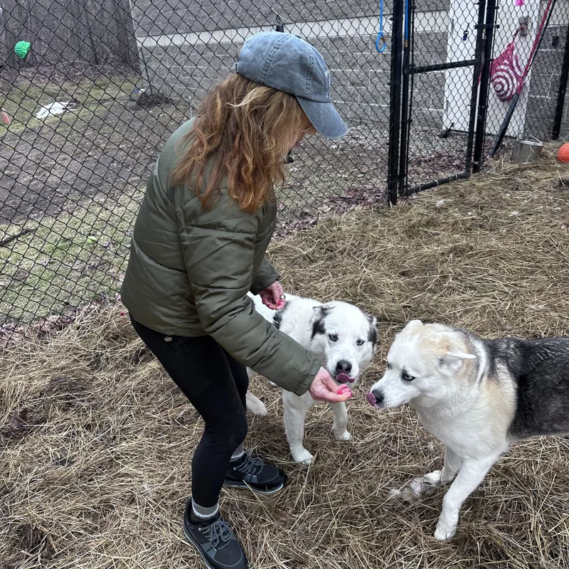 Leo & Luna thumbnail 4