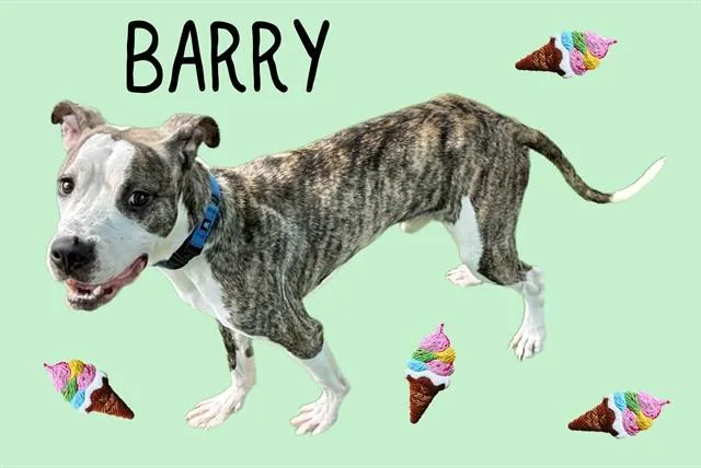 Barry