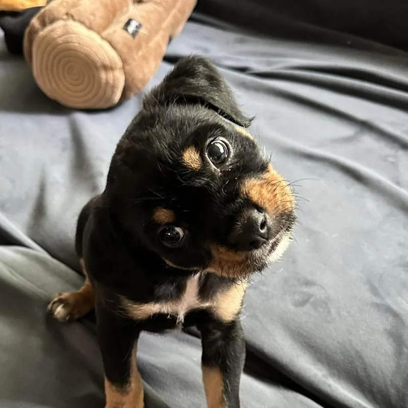 Stanley