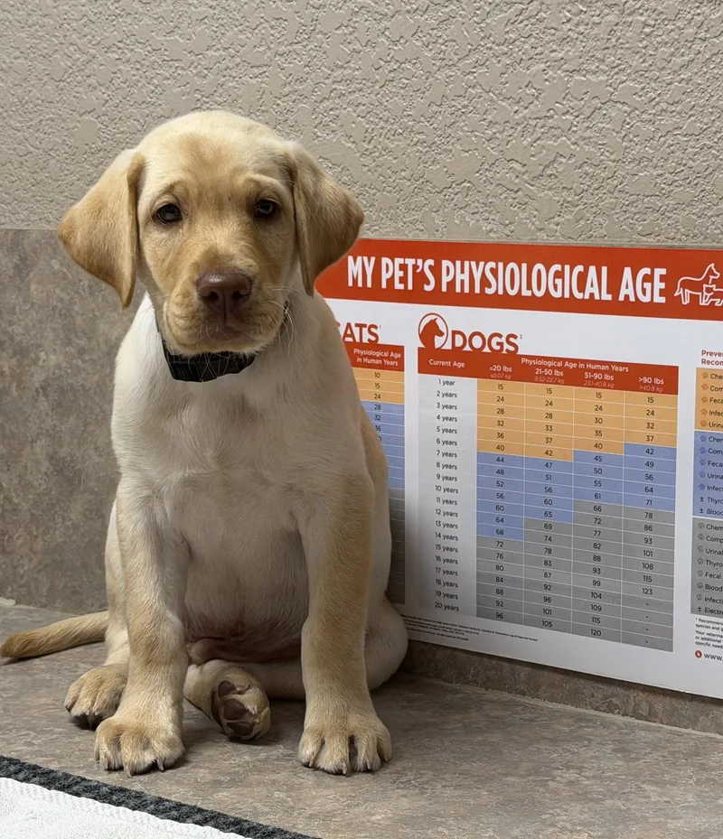 Nelson thumbnail 3