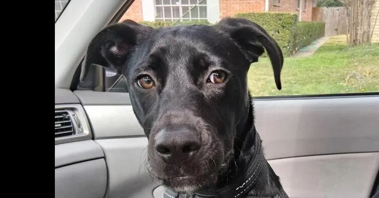 Sebastian Chevy Swieneicki thumbnail 2