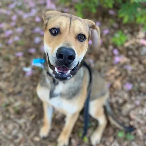 Theodore thumbnail 2