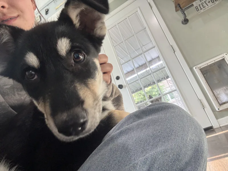 Lola thumbnail 2