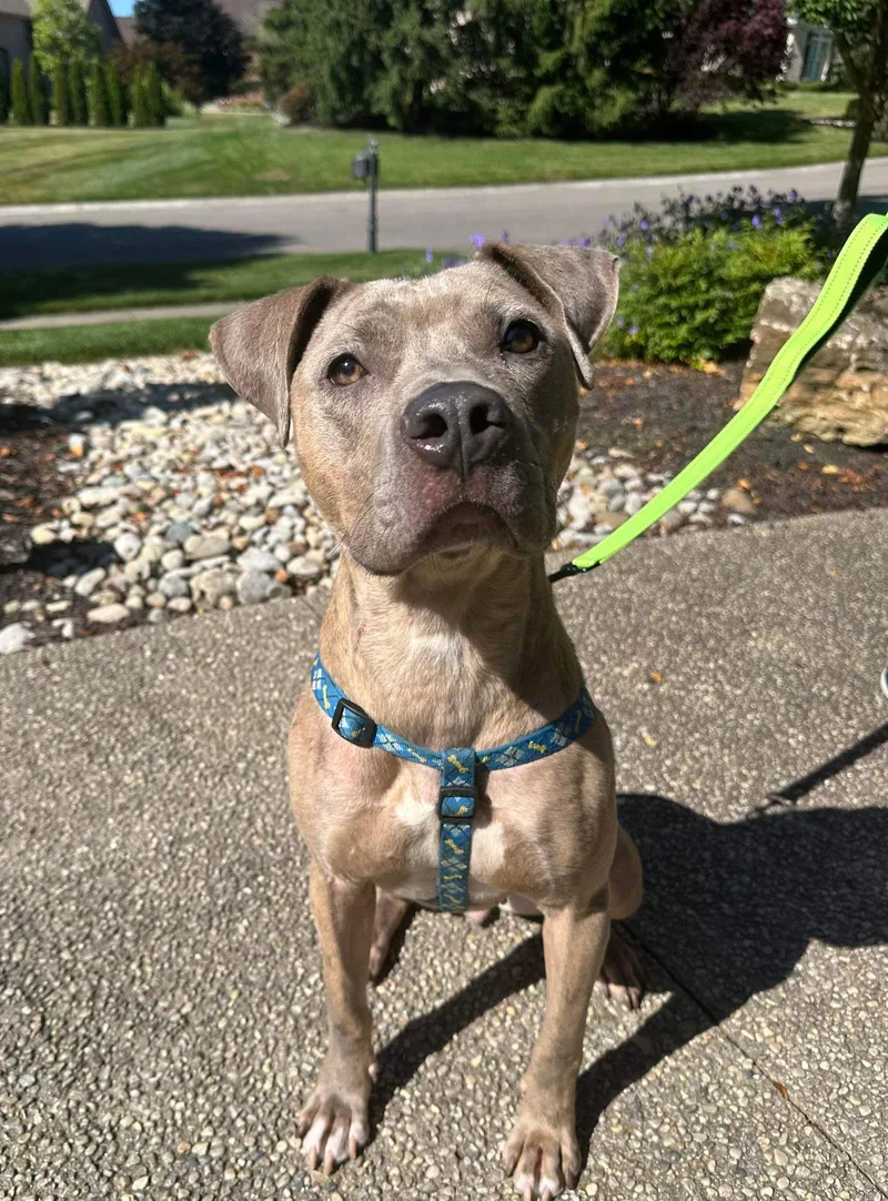 Catherine thumbnail 2