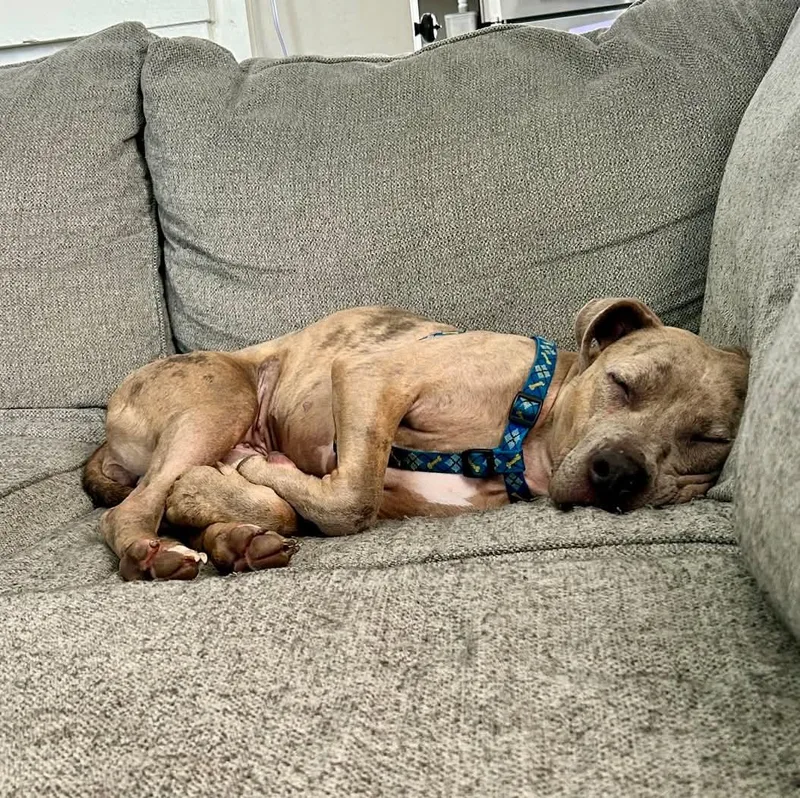 Catherine thumbnail 3