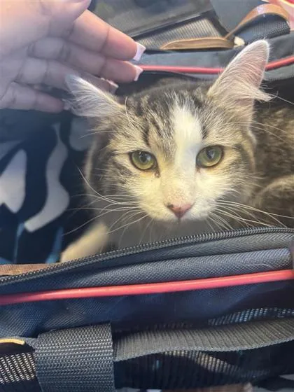 Marykate thumbnail 2