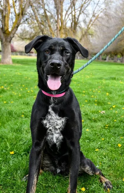 Gurley thumbnail 2