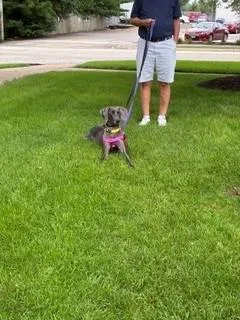 Josie thumbnail 2