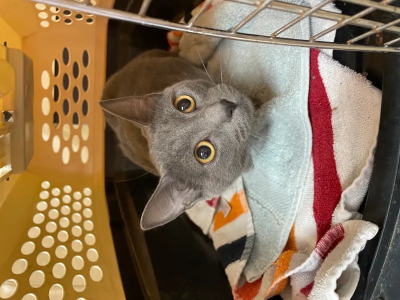 Mary Ellen thumbnail 2