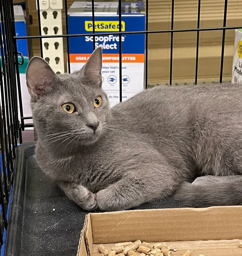 Mary Ellen thumbnail 3