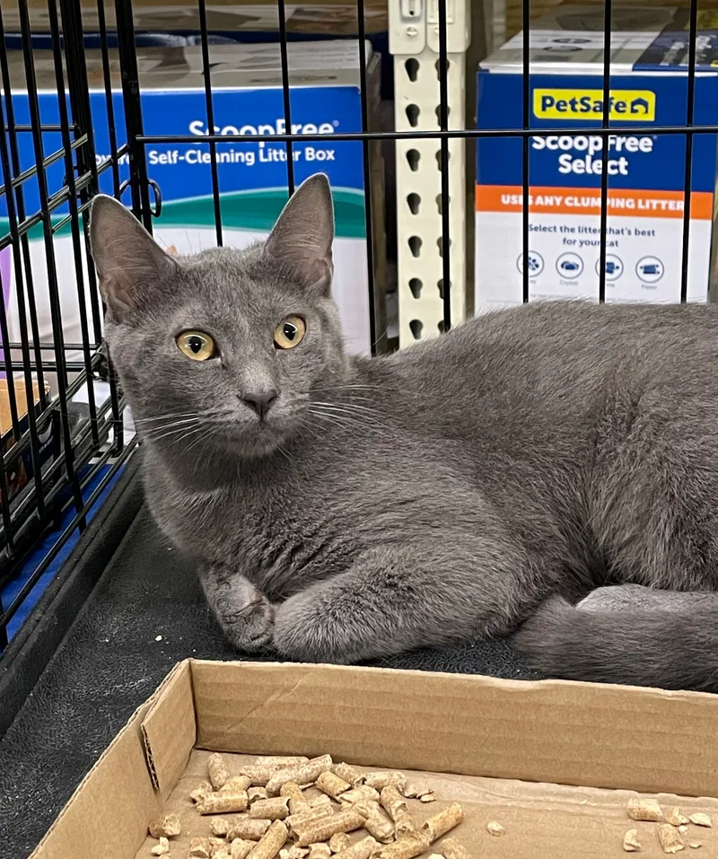 Mary Ellen thumbnail 4