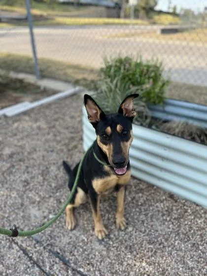 Isabella thumbnail 2