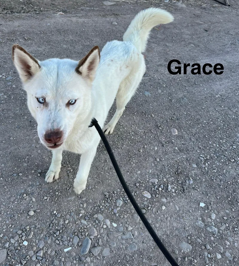 Grace thumbnail 2