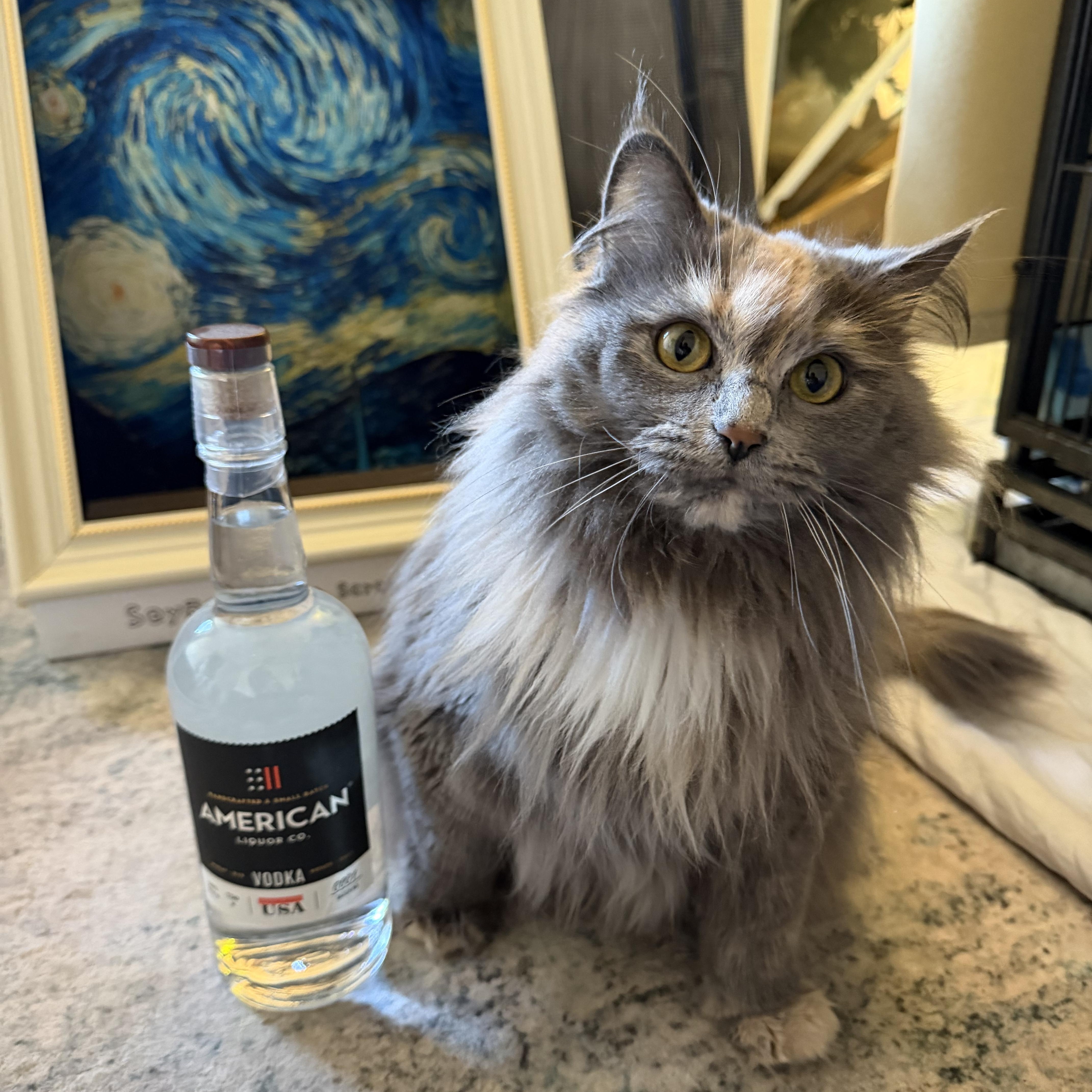 Cranberry thumbnail 3