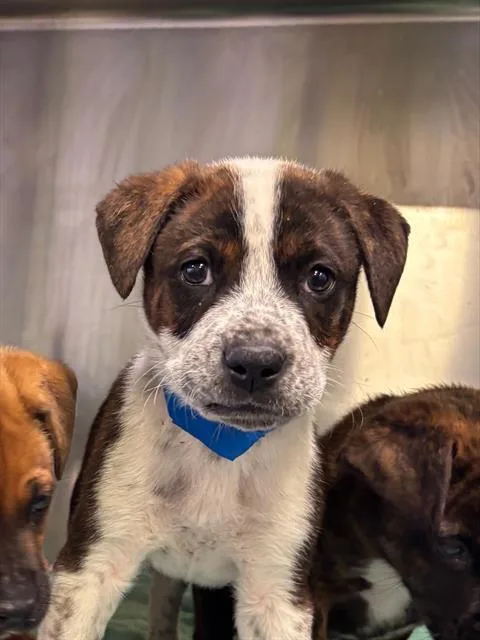 Maren Urgent! Longtime