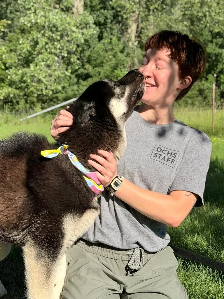 A young medium-sized female Mixed Breed dog named Poppers for adoption in Menomonie, WI