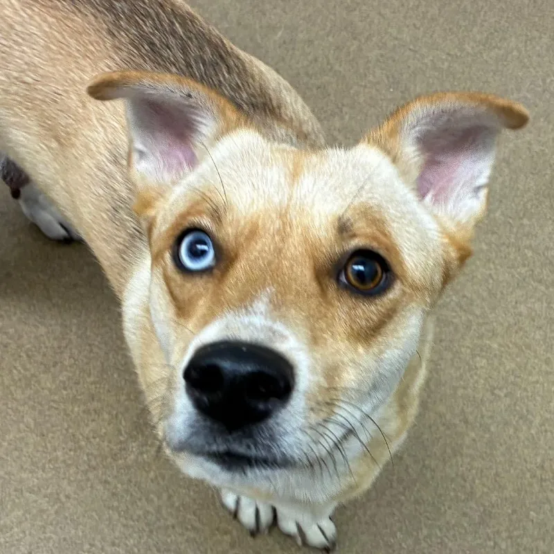 Cinnabon thumbnail 2