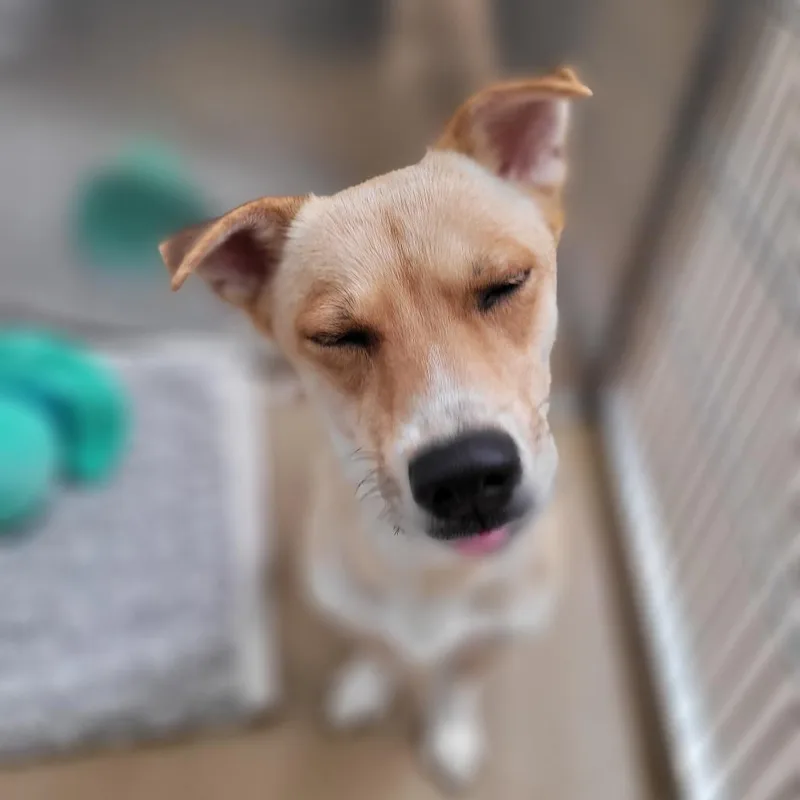 Cinnabon thumbnail 3