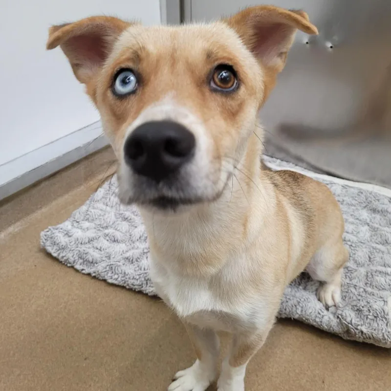 Cinnabon thumbnail 4