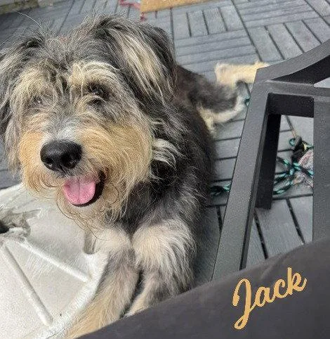 Jack allwags&grins thumbnail 2
