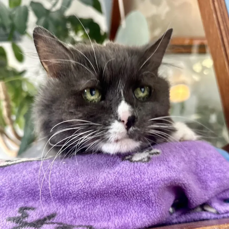 Chloe In Colorado thumbnail 2