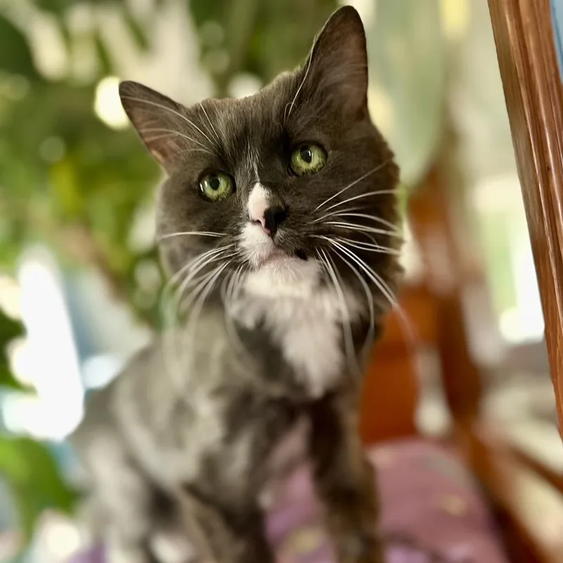 Chloe In Colorado thumbnail 3