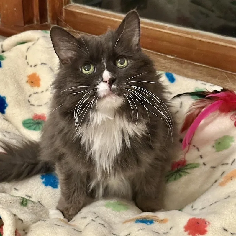 Chloe In Colorado thumbnail 4