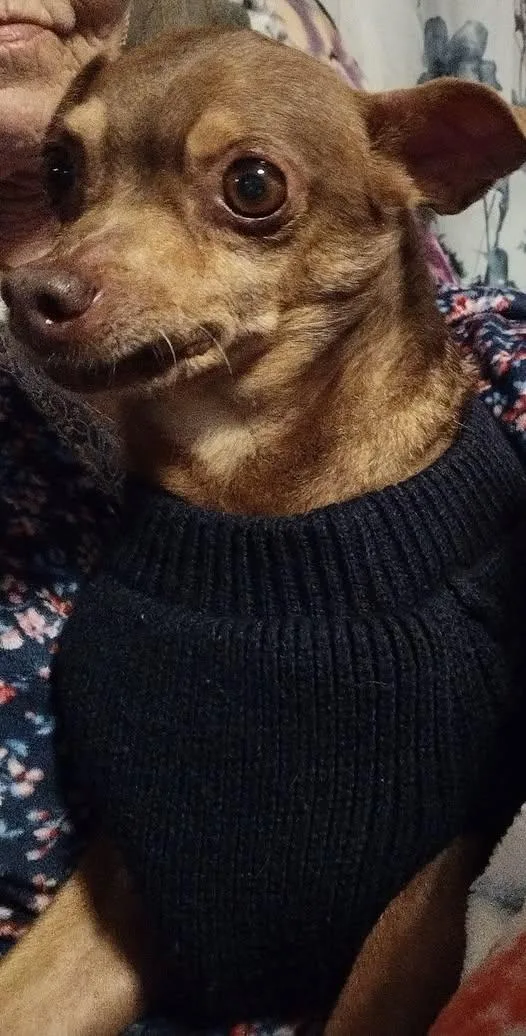 Otis