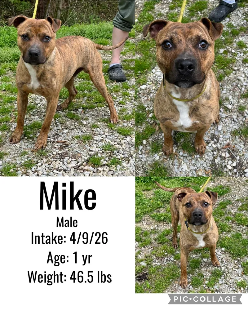 Mike